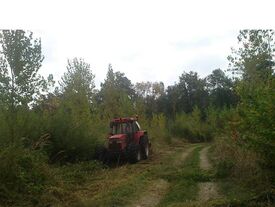 Travaux forestiers
